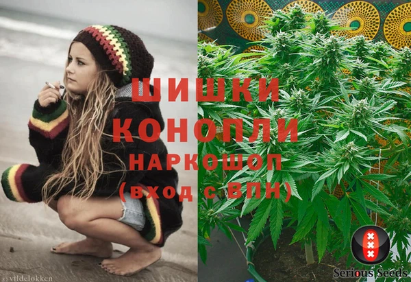 ПСИЛОЦИБИНОВЫЕ ГРИБЫ Абаза