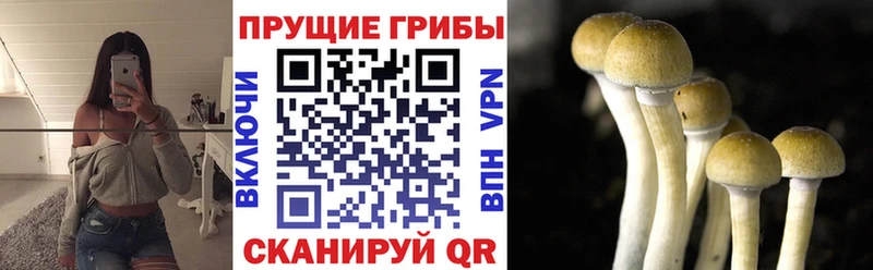 площадка клад  blacksprut вход  Мыски  Псилоцибиновые грибы мицелий 
