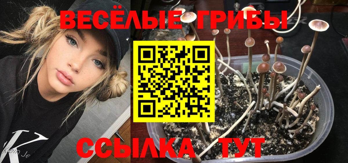 Псилоцибиновые грибы мухоморы  Псилоцибиновые грибы MAGIC MUSHROOMS  Вход с VPN  Мыски 